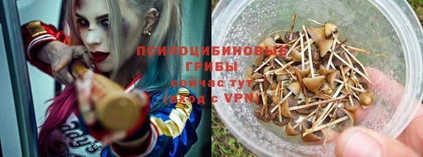 спайс Чердынь