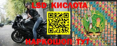 амф Гусев