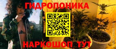 амф Гусев