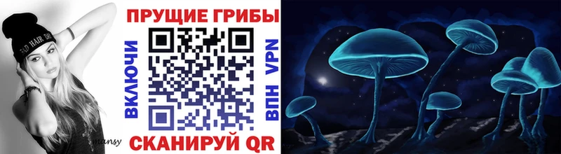 Псилоцибиновые грибы Cubensis  Волжск 