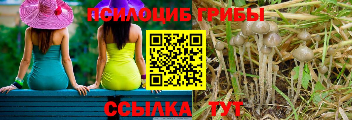 Волжск  Галлюциногенные грибы GOLDEN TEACHER  Галлюциногенные грибы Magic Shrooms  Вход с VPN 